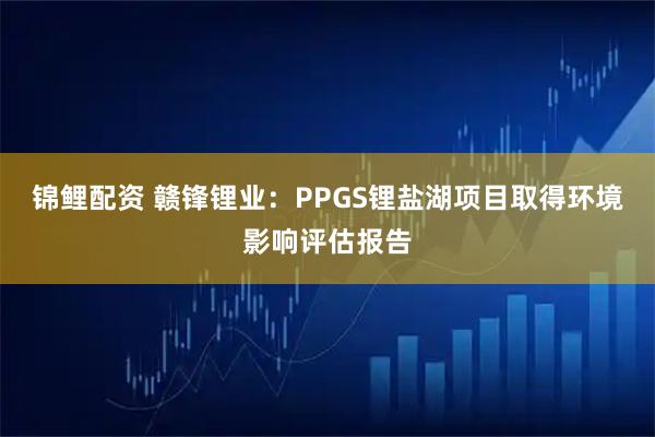 锦鲤配资 赣锋锂业：PPGS锂盐湖项目取得环境影响评估报告