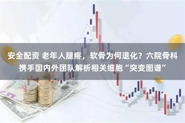 安全配资 老年人腿疼，软骨为何退化？六院骨科携手国内外团队解析相关细胞“突变图谱”