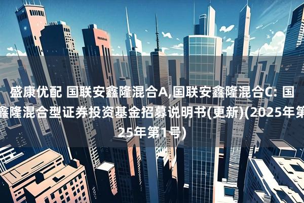 盛康优配 国联安鑫隆混合A,国联安鑫隆混合C: 国联安鑫隆混合型证券投资基金招募说明书(更新)(2025年第1号)