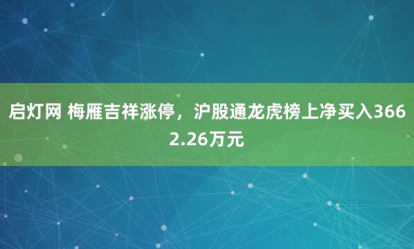 启灯网 梅雁吉祥涨停，沪股通龙虎榜上净买入3662.26万元