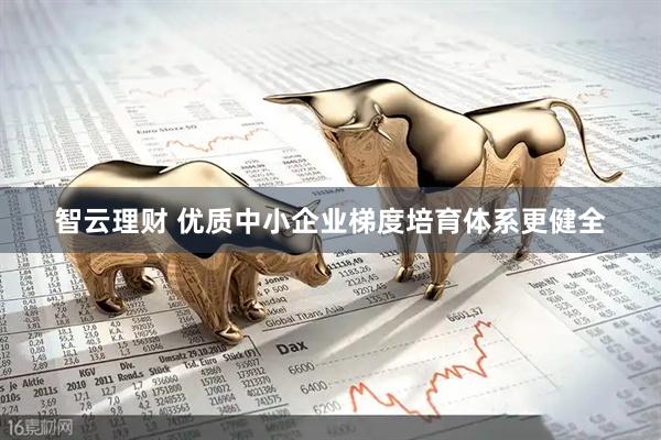 智云理财 优质中小企业梯度培育体系更健全