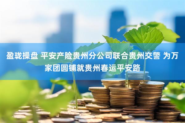 盈珑操盘 平安产险贵州分公司联合贵州交警 为万家团圆铺就贵州春运平安路