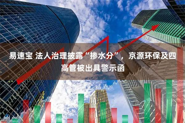 易速宝 法人治理披露“掺水分”，京源环保及四高管被出具警示函