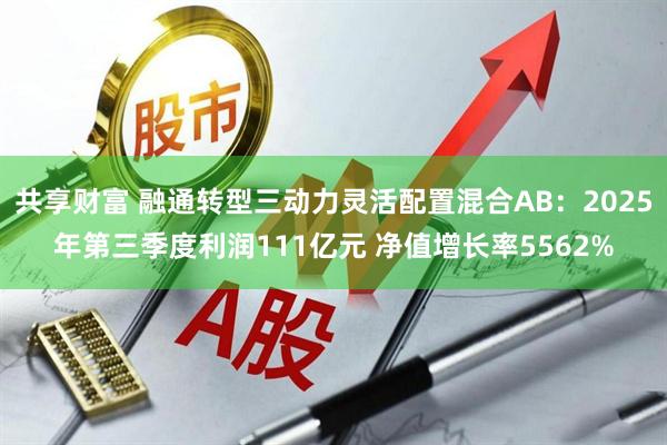 共享财富 融通转型三动力灵活配置混合AB：2025年第三季度利润111亿元 净值增长率5562%